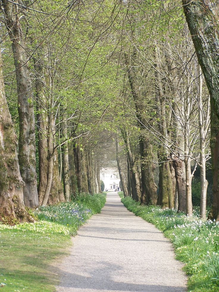 Things To Do in Plymouth: Saltram Walk
