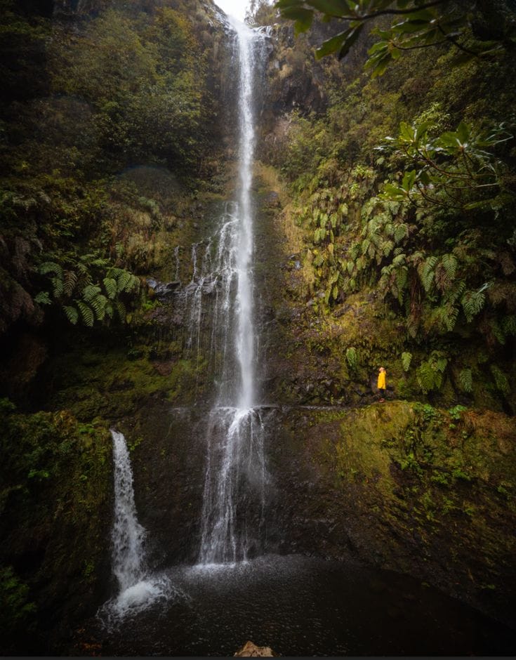 Madeira 5 Day Hiking Itinerary: Levada do Caldeirão Verde