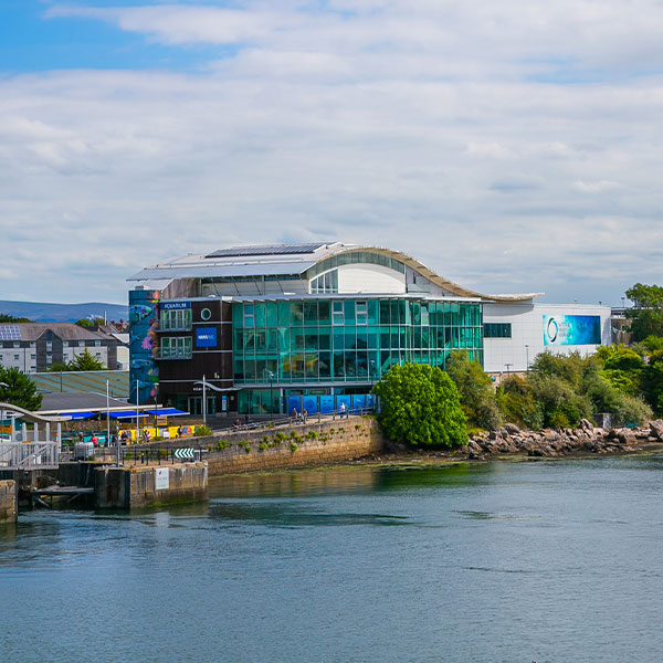 Things To Do in Plymouth: National Marine Aquarium